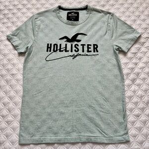 Hollister Mint Green Applique Graphic Seagull Logo Short Sleeve T-Shirt Size XS
